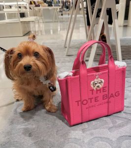 Pet portrait by Jeri Rae Venegas on a Marc Jacobs bag